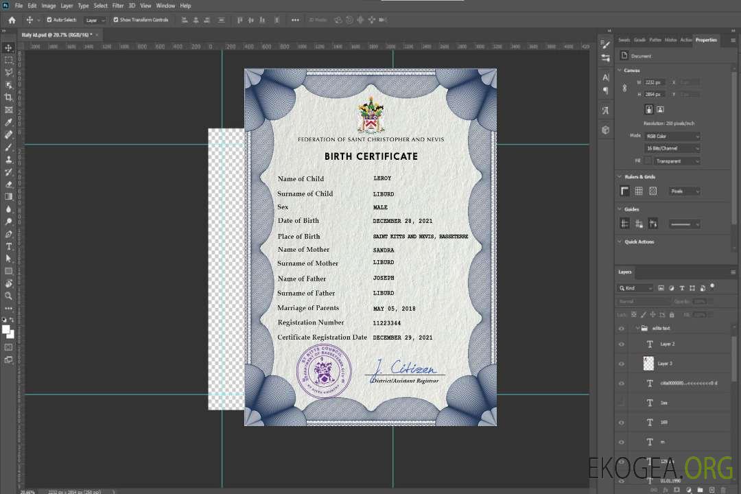 Modèle PSD de certificat de naissance de l'état civil de Saint-Kitts template